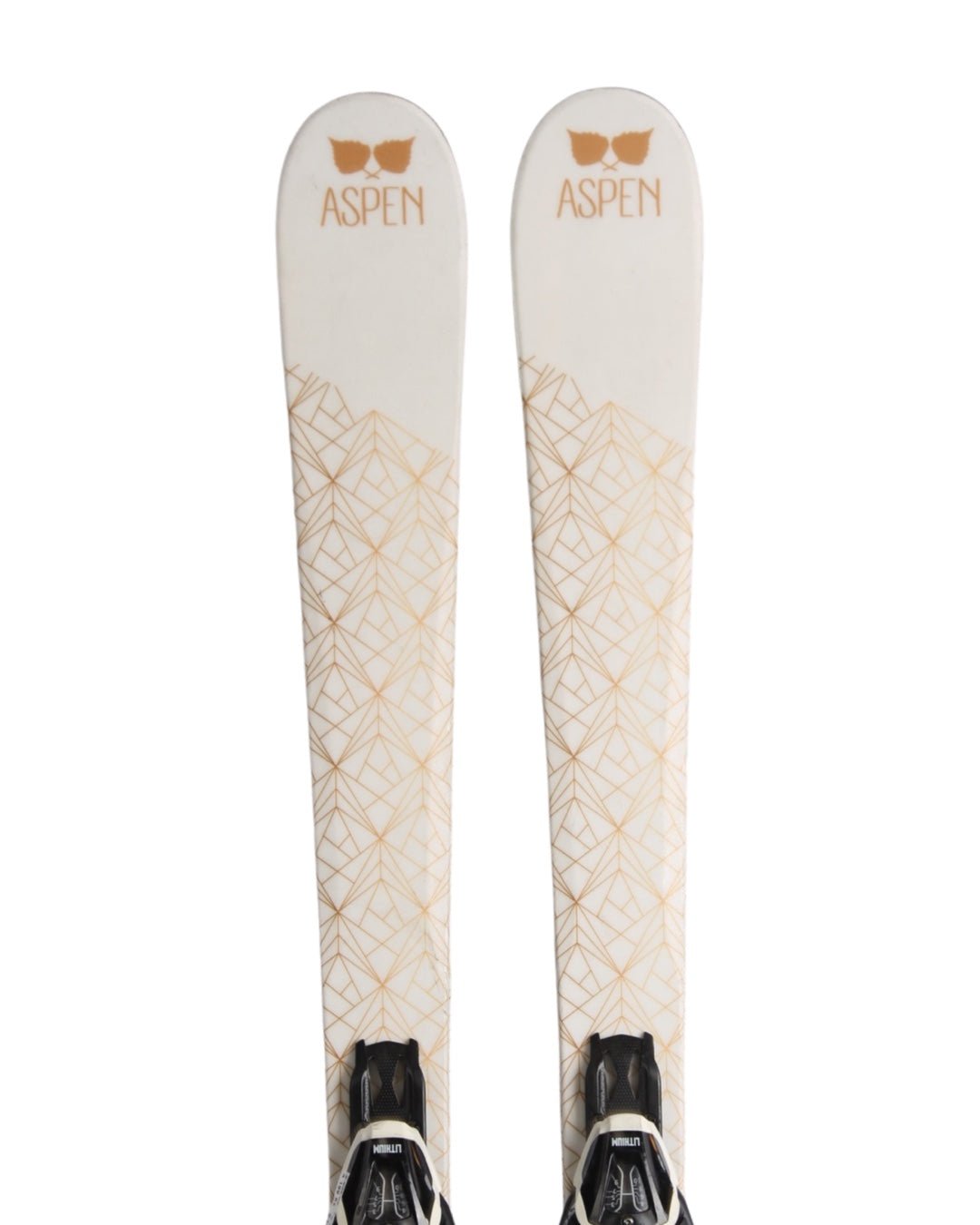 Aspen shinny