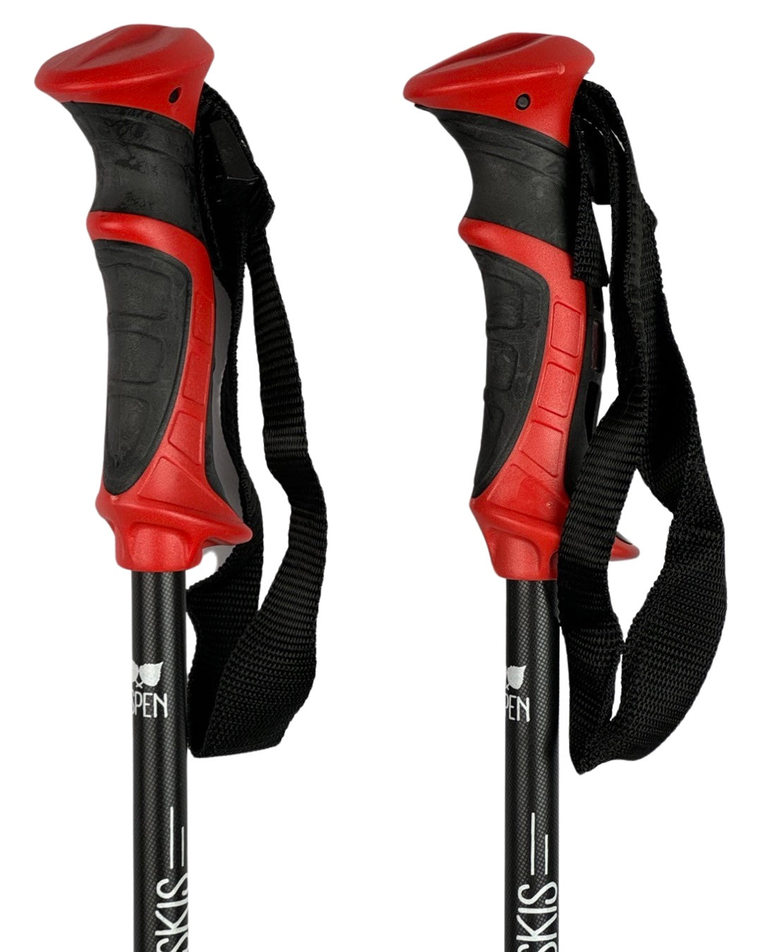 Aspen Carbon Skistav