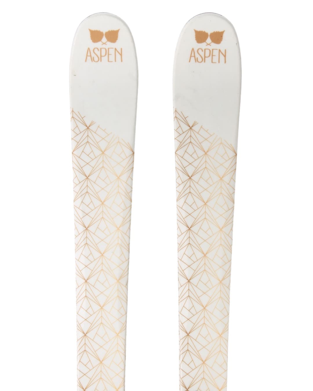 Ski - Aspen Shiny - 1199 kr